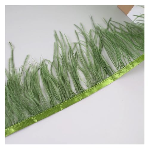 HEUchuan 10 Meter Straußenfedern, Fransenbesatz for Handarbeiten und Kunsthandwerk, Federkleid-Zubehör, Federn, Fransen for Kleidung für DIY Nähen Handwerk Dekoration(Dark Green) von HEUchuan