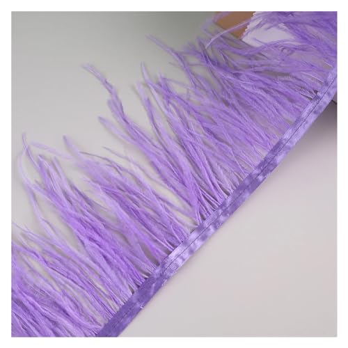 HEUchuan 10 Meter Straußenfedern, Fransenbesatz for Handarbeiten und Kunsthandwerk, Federkleid-Zubehör, Federn, Fransen for Kleidung für DIY Nähen Handwerk Dekoration(Dark Violet) von HEUchuan