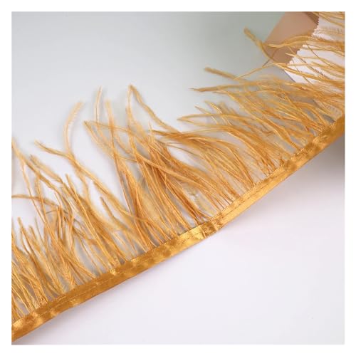 HEUchuan 10 Meter Straußenfedern, Fransenbesatz for Handarbeiten und Kunsthandwerk, Federkleid-Zubehör, Federn, Fransen for Kleidung für DIY Nähen Handwerk Dekoration(Gold2) von HEUchuan
