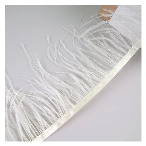 HEUchuan 10 Meter Straußenfedern, Fransenbesatz for Handarbeiten und Kunsthandwerk, Federkleid-Zubehör, Federn, Fransen for Kleidung für DIY Nähen Handwerk Dekoration(Ivory) von HEUchuan