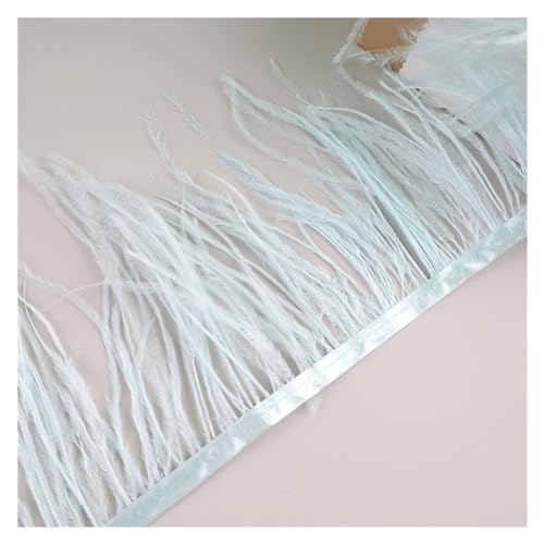 HEUchuan 10 Meter Straußenfedern, Fransenbesatz for Handarbeiten und Kunsthandwerk, Federkleid-Zubehör, Federn, Fransen for Kleidung für DIY Nähen Handwerk Dekoration(Light Blue) von HEUchuan