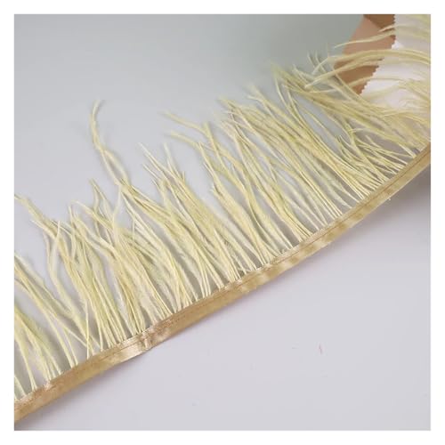 HEUchuan 10 Meter Straußenfedern, Fransenbesatz for Handarbeiten und Kunsthandwerk, Federkleid-Zubehör, Federn, Fransen for Kleidung für DIY Nähen Handwerk Dekoration(Light Gold) von HEUchuan