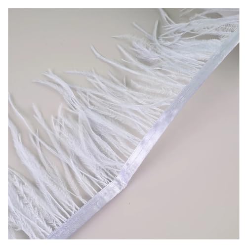 HEUchuan 10 Meter Straußenfedern, Fransenbesatz for Handarbeiten und Kunsthandwerk, Federkleid-Zubehör, Federn, Fransen for Kleidung für DIY Nähen Handwerk Dekoration(Light Sky Blue) von HEUchuan