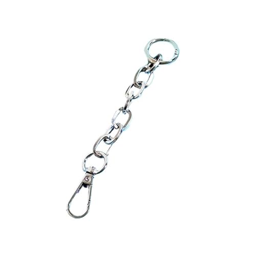 HEUchuan 15/20 cm Geldbörsenriemenverlängerung for Damen, Taschenzubehör, Kette, Handtaschengriff, Ersatz für Schulter Crossbody Bag(C1 Silver,20cm) von HEUchuan