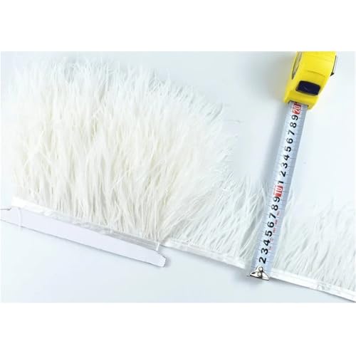 HEUchuan 1M 5M 10M 8-10CM Straußenfedern Borten Band Rock DIY Kleidung Straußenfedern for Basteln Federn für DIY Nähen Handwerk Dekoration(1 White,5 Meters) von HEUchuan