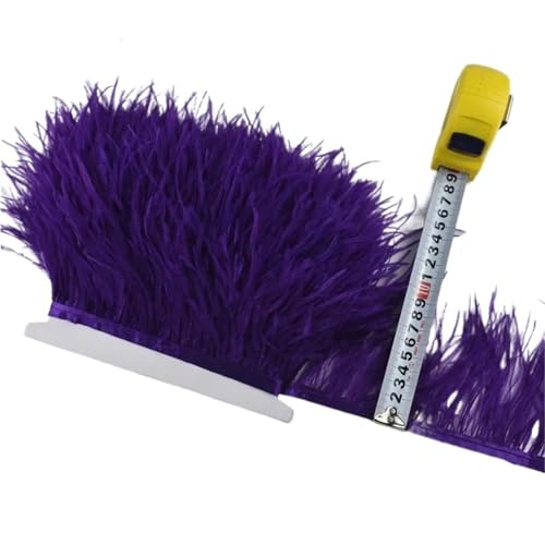 HEUchuan 1M 5M 10M 8-10CM Straußenfedern Borten Band Rock DIY Kleidung Straußenfedern for Basteln Federn für DIY Nähen Handwerk Dekoration(16 Dark Purple,5 Meters) von HEUchuan
