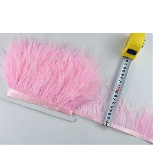 HEUchuan 1M 5M 10M 8-10CM Straußenfedern Borten Band Rock DIY Kleidung Straußenfedern for Basteln Federn für DIY Nähen Handwerk Dekoration(21 Pink,10 Meters) von HEUchuan