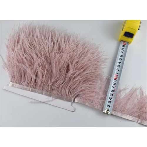 HEUchuan 1M 5M 10M 8-10CM Straußenfedern Borten Band Rock DIY Kleidung Straußenfedern for Basteln Federn für DIY Nähen Handwerk Dekoration(6,10 Meters) von HEUchuan