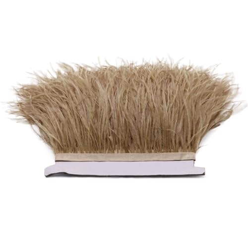 HEUchuan 1M 5M 10M 8-10cm Straußenfederborte Band Mehrfarbige Feder for Nähen von Federn Basteln Kleid Kleidung Dekoration für DIY Nähen Handwerk Dekoration(Camel,10m) von HEUchuan