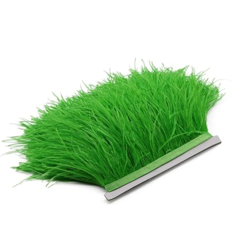 HEUchuan 1M 5M 10M 8-10cm Straußenfederborte Band Mehrfarbige Feder for Nähen von Federn Basteln Kleid Kleidung Dekoration für DIY Nähen Handwerk Dekoration(Green,5M) von HEUchuan