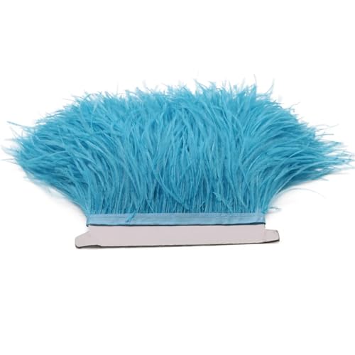 HEUchuan 1M 5M 10M 8-10cm Straußenfederborte Band Mehrfarbige Feder for Nähen von Federn Basteln Kleid Kleidung Dekoration für DIY Nähen Handwerk Dekoration(Sky Blue,10m) von HEUchuan