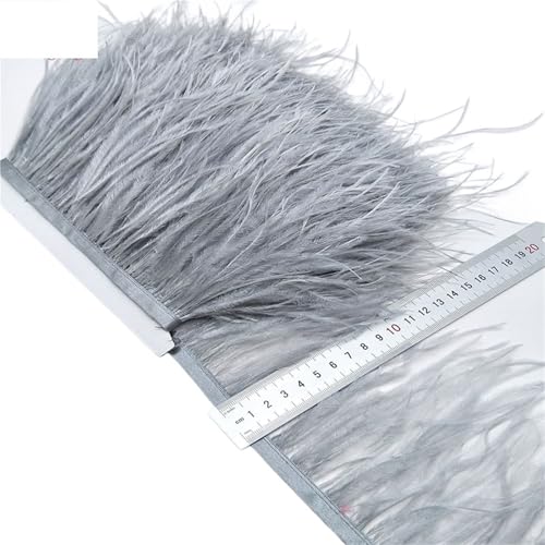 HEUchuan 2/5/10 Yards Straußenfederband Straußenfedern Trim Fransen Kleidung Dekoration für DIY Nähen Handwerk Dekoration(Silver Grey,10 Yards) von HEUchuan