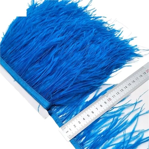 HEUchuan 2/5/10 Yards Straußenfederband Straußenfedern Trim Fransen Kleidung Dekoration für DIY Nähen Handwerk Dekoration(Sky bkue,10 Yards) von HEUchuan