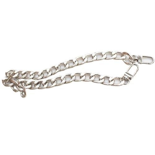 HEUchuan 30/60/100 cm Metall Taschen Kette Geldbörse Schnallen Frauen Schulter Gurt for Taschen Ersetzen Crossbody Kette DIY alle-Spiel Tasche Zubehör für Schulter Crossbody Bag(Silver,60cm) von HEUchuan
