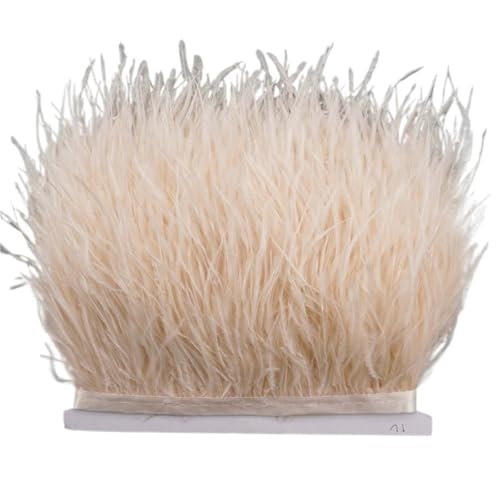 HEUchuan 8–10 cm Straußenfederbesatz for Handarbeiten und Kunsthandwerk, Federrockdekoration, Federn, Bandfransen für DIY Nähen Handwerk Dekoration(Color10,10Meters) von HEUchuan