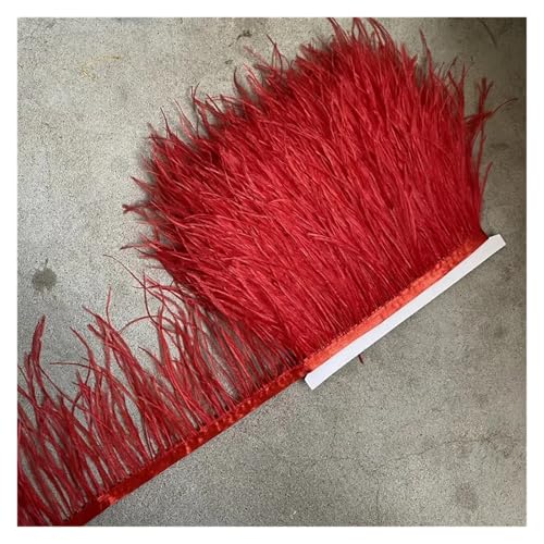 HEUchuan Straußenfederbesatz, Fransenfederband, 10–15 cm breit, Nähen, Basteln, Kostüme, Dekoration für DIY Nähen Handwerk Dekoration(Red,10 Yards) von HEUchuan