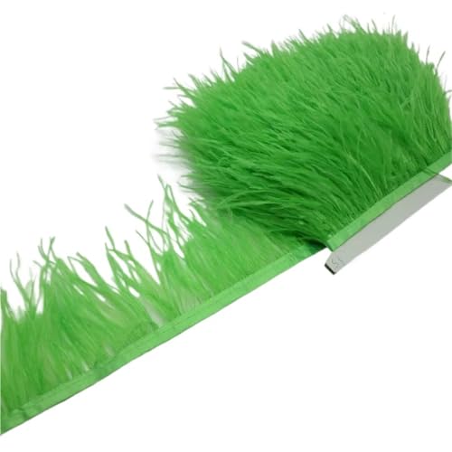 HEUchuan Straußenfederbesatz, Fransenfederband, 7,6–10,2 cm, 8–10 cm Breite, Nähen, Basteln, Kostüme, Dekoration für DIY Nähen Handwerk Dekoration(Green2,10 Yards) von HEUchuan