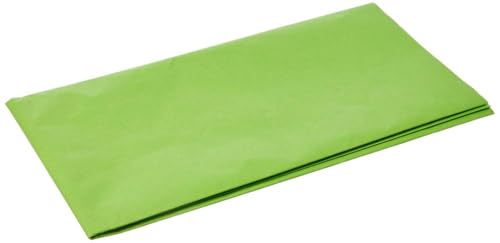 Heyda 203310553 Seidenpapier 50 x 70 cm hellgrün Heyda 203310553 Seidenpapier 50 x 70 cm hellgrün von Heyda