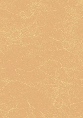 Heyda 204719512 Strohseide (70 x 150 cm, 25 g/qm, Rolle) beige von Heyda