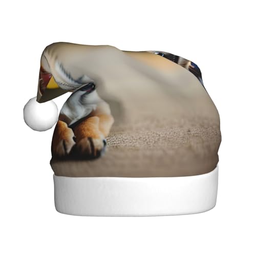 Chihuahua Hund 1 Weihnachtsmannmütze, Weihnachtsmütze, Weihnachtsmütze, Weihnachtsmütze, Strickmütze, Mütze für Erwachsene Damen und Herren Chihuahua Hund 1 Weihnachtsmannmütze, Weihnachtsmütze, Weihnachtsmütze, Weihnachtsmütze, Strickmütze, Mütze für Erwachsene Damen und Herren von HFDERW