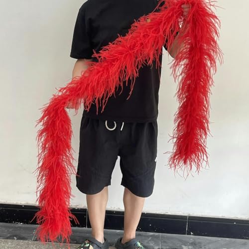 HFNCE 1–20-lagig, dicke, schöne Straußenfedern-Boa, 2 Meter, flauschiger Straußenfederschal für Hochzeitsfeier, Kleidung, Dekor, Federn, Schal, Rot, 1-lagig, 2 Meter HFNCE 1–20-lagig, dicke, schöne Straußenfedern-Boa, 2 Meter, flauschiger Straußenfederschal für Hochzeitsfeier, Kleidung, Dekor, Federn, Schal, Rot, 1-lagig, 2 Meter von HFNCE