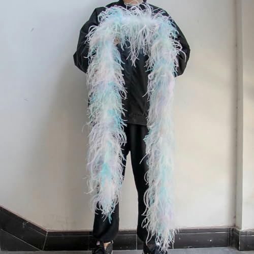 HFNCE 2 m natürliche Straußenfederbesatz-Boa zum Basteln, für Hochzeiten, Karneval, Partys, Kleidung, Dekoration, Federn, Schal, 6/10/15/30-fädig, Macaron, 2 m, 30-fäd HFNCE 2 m natürliche Straußenfederbesatz-Boa zum Basteln, für Hochzeiten, Karneval, Partys, Kleidung, Dekoration, Federn, Schal, 6/10/15/30-fädig, Macaron, 2 m, 30-fäd von HFNCE