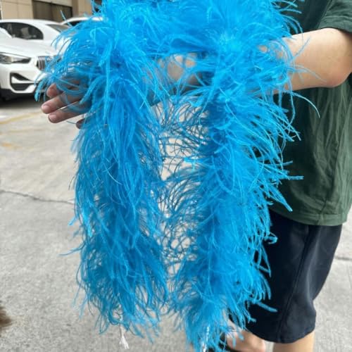 HFNCE 2 m natürliche Straußenfederbesatz-Boa zum Basteln, für Hochzeiten, Karneval, Partys, Kleidung, Dekoration, Federn, Schal, 6/10/15/30-fädig, Seeblau, 2 m, 15-fäd HFNCE 2 m natürliche Straußenfederbesatz-Boa zum Basteln, für Hochzeiten, Karneval, Partys, Kleidung, Dekoration, Federn, Schal, 6/10/15/30-fädig, Seeblau, 2 m, 15-fäd von HFNCE