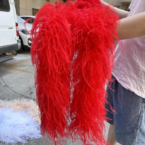 HFNCE 2 m natürliche Straußenfederbesatz-Boa zum Basteln, für Hochzeiten, Karneval, Partys, Kleidung, Dekoration, Federn, Schal, 6/10/15/30-fädig, rot, 2 m, 6-fädig HFNCE 2 m natürliche Straußenfederbesatz-Boa zum Basteln, für Hochzeiten, Karneval, Partys, Kleidung, Dekoration, Federn, Schal, 6/10/15/30-fädig, rot, 2 m, 6-fädig von HFNCE