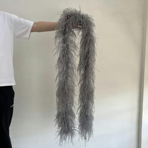 HFNCE 2 m natürliche Straußenfederbesatz-Boa zum Basteln, für Hochzeiten, Karneval, Partys, Kleidung, Dekoration, Federn, Schal, 6/10/15/30-lagig, silbergrau, 2 m, 15- HFNCE 2 m natürliche Straußenfederbesatz-Boa zum Basteln, für Hochzeiten, Karneval, Partys, Kleidung, Dekoration, Federn, Schal, 6/10/15/30-lagig, silbergrau, 2 m, 15- von HFNCE
