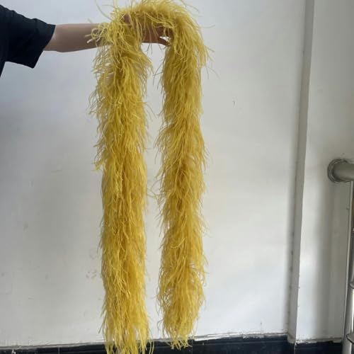 HFNCE Gefärbte, flauschige Straußenfederboa, 6 10 20-lagig, dicker Federschal, 2 m, zum Selbermachen, für Hochzeiten, Karnevalskleider, Nähen, Dekoration, Basteln, Fed HFNCE Gefärbte, flauschige Straußenfederboa, 6 10 20-lagig, dicker Federschal, 2 m, zum Selbermachen, für Hochzeiten, Karnevalskleider, Nähen, Dekoration, Basteln, Fed von HFNCE