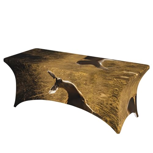 HGKHadc Rechteckige, elastische Tischdecke mit niedlichem Hirsch-Aufdruck, waschbar, knitterarm HGKHadc Rechteckige, elastische Tischdecke mit niedlichem Hirsch-Aufdruck, waschbar, knitterarm von HGKHadc