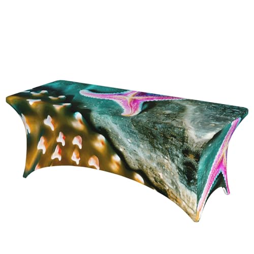 HGKHadc Tischdecke, rechteckig, elastisch, waschbar, knitterfrei, mit Seestern-Motiv HGKHadc Tischdecke, rechteckig, elastisch, waschbar, knitterfrei, mit Seestern-Motiv von HGKHadc