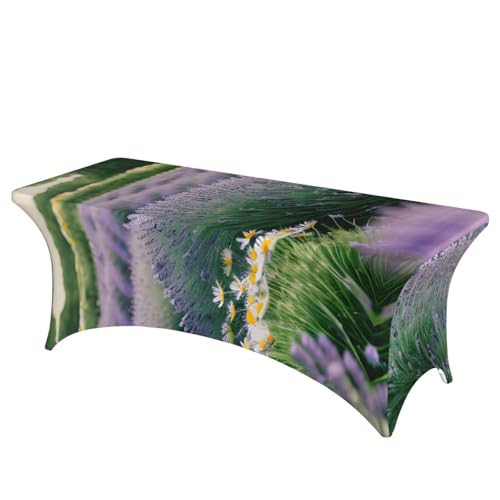HGKHadc Tischdecke mit Lavendel- und Gänseblümchen-Druck, rechteckig, elastisch, waschbar, knitterarm HGKHadc Tischdecke mit Lavendel- und Gänseblümchen-Druck, rechteckig, elastisch, waschbar, knitterarm von HGKHadc