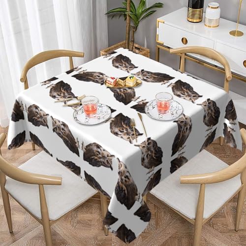 HHGFASD Quadratische dekorative Tischdecke mit Eulenmuster, 137,2 x 137,2 cm, wasserdicht, knitterfrei, wiederverwendbar, für Cafés, Buffet, Picknicks, Hochzeiten, Partys HHGFASD Quadratische dekorative Tischdecke mit Eulenmuster, 137,2 x 137,2 cm, wasserdicht, knitterfrei, wiederverwendbar, für Cafés, Buffet, Picknicks, Hochzeiten, Partys von HHGFASD