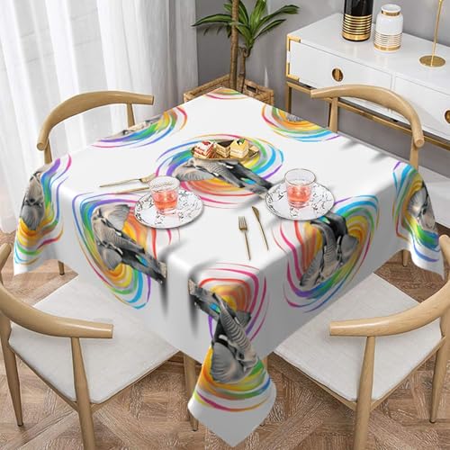 HHGFASD Quadratische dekorative Tischdecke mit Weltraum-Tunnel-Muster, 137,2 x 137,2 cm, wasserdicht, knitterfrei, wiederverwendbar, für Cafés, Buffet, Picknicks, Hochzeiten, Partys HHGFASD Quadratische dekorative Tischdecke mit Weltraum-Tunnel-Muster, 137,2 x 137,2 cm, wasserdicht, knitterfrei, wiederverwendbar, für Cafés, Buffet, Picknicks, Hochzeiten, Partys von HHGFASD
