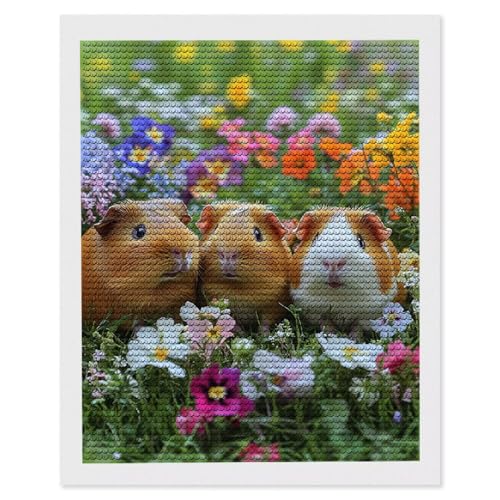 Diamond Painting Erwachsene Tiere Schweine, 5D Diamant Painting Bilder Anfänger, DIY Runder Vollbohrer Diamanten Malerei Stickerei Kreuzstich Geschenke Home Wand Dekor, Frauen Geschenk, 60 x 80cm D189 Diamond Painting Erwachsene Tiere Schweine, 5D Diamant Painting Bilder Anfänger, DIY Runder Vollbohrer Diamanten Malerei Stickerei Kreuzstich Geschenke Home Wand Dekor, Frauen Geschenk, 60 x 80cm D189 von HHQGOUYG