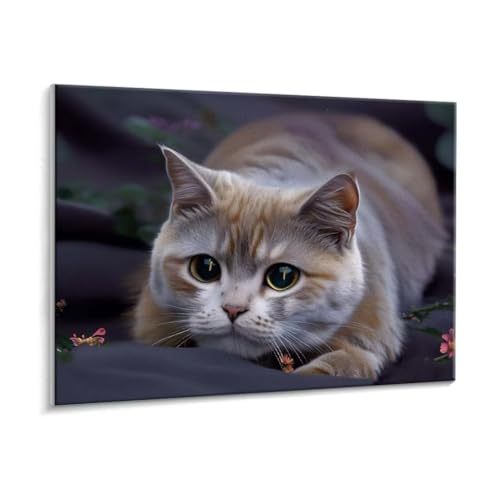Malen Nach Zahlen Erwachsene, Tiere Katzen Paint by Numbers Malen Nach Zahlen, DIY mit Pinseln und Acrylfarben Handgemalt Ölgemälde für Geschenke und Wand Dekoratio, Ohne Rahmen 40 x 50 cm R-135 Malen Nach Zahlen Erwachsene, Tiere Katzen Paint by Numbers Malen Nach Zahlen, DIY mit Pinseln und Acrylfarben Handgemalt Ölgemälde für Geschenke und Wand Dekoratio, Ohne Rahmen 40 x 50 cm R-135 von HHQGOUYG