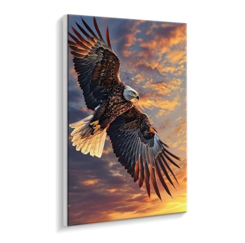 Malen Nach Zahlen Erwachsene - DIY Adler Himmel Handgemalt Ölgemälde Kit für Anfänger, Mit 3 - Pinseln und Acrylfarbe Handgemalt öLgemäLde Kit Als Geschenk Heimdekoration 50 x 70 cm (Rahmenlos) t-811 von HHQGOUYG