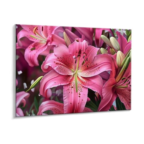 Malen Nach Zahlen Erwachsene - DIY Lilien Handgemalt Ölgemälde Kit für Anfänger, Mit 3 - Pinseln und Acrylfarbe Handgemalt öLgemäLde Kit Als Geschenk Heimdekoration 30 x 40 cm (Rahmenlos) t-32 von HHQGOUYG