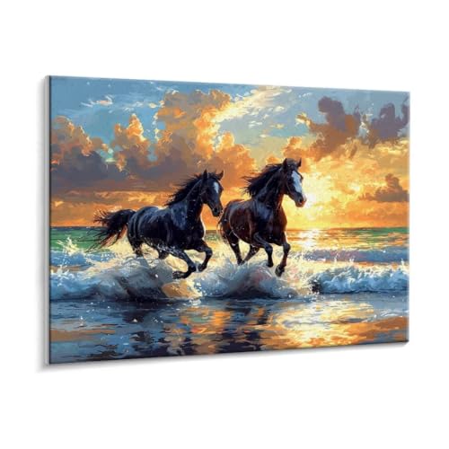 Malen Nach Zahlen Erwachsene - DIY Strand Pferde Handgemalt Ölgemälde Kit für Anfänger, Mit 3 - Pinseln und Acrylfarbe Handgemalt öLgemäLde Kit Als Geschenk Heimdekoration 30 x 40 cm (Rahmenlos) t-674 von HHQGOUYG