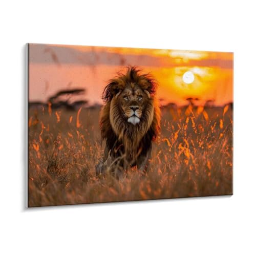 Malen Nach Zahlen Erwachsene - DIY Wiese Löwen Handgemalt Ölgemälde Kit für Anfänger, Mit 3 - Pinseln und Acrylfarbe Handgemalt öLgemäLde Kit Als Geschenk Heimdekoration 60 x 80 cm (Rahmenlos) t-116 von HHQGOUYG