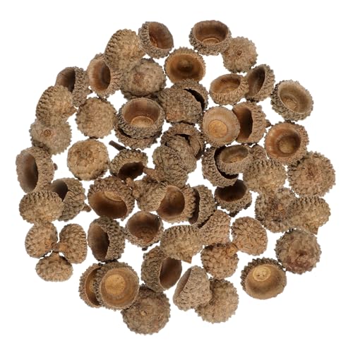 HIAKDOFT 50 Stück Natürliche Schalen Deko zum Basteln Robustes Naturmaterial Vielseitig für Herbst Weihnachts und Hochzeitsdeko als Vase Füller und Party Ornamente HIAKDOFT 50 Stück Natürliche Schalen Deko zum Basteln Robustes Naturmaterial Vielseitig für Herbst Weihnachts und Hochzeitsdeko als Vase Füller und Party Ornamente von HIAKDOFT