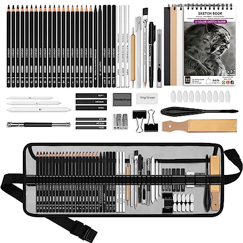 HIFORNY 60-teiliges Zeichen-Set, Skizzierstifte, Kunstzubehör mit 3-farbigem Skizzenbuch, Graphit, Kohle, Zeichenstifte für Erwachsene, Künstler, Kunststifte von HIFORNY