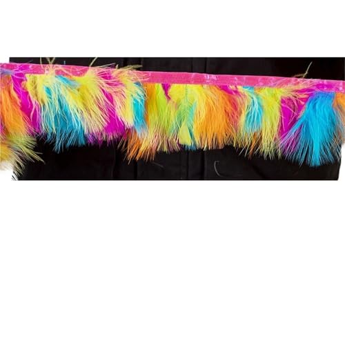 HIFRQVVC Party Dekoration Federn Band, Fransenband mit Truthahnfedern, 1 Meter, 8–10 cm, for Nähen, for Kleider, Dekoration(Color1) von HIFRQVVC