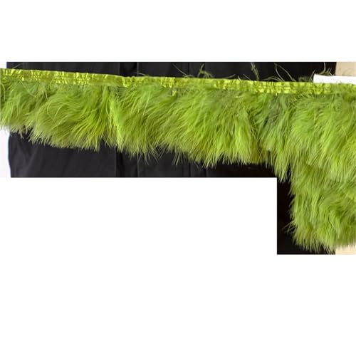 HIFRQVVC Party Dekoration Federn Band, Fransenband mit Truthahnfedern, 1 Meter, 8–10 cm, for Nähen, for Kleider, Dekoration(Green2) von HIFRQVVC