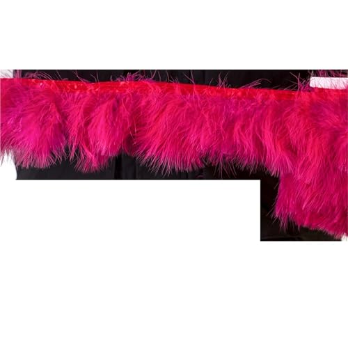 HIFRQVVC Party Dekoration Federn Band, Fransenband mit Truthahnfedern, 1 Meter, 8–10 cm, for Nähen, for Kleider, Dekoration(Wine Red) von HIFRQVVC