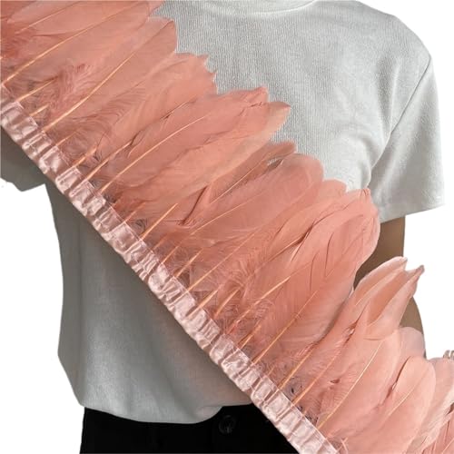 HIFRQVVC Party Dekoration Federn Band, Gänsefederbesatz, Fransen, 2 Meter Länge, 15–20 cm, DIY-Kostüm, Kleid, Nähdekoration(Color1) von HIFRQVVC