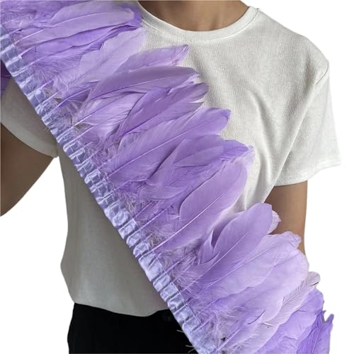 HIFRQVVC Party Dekoration Federn Band, Gänsefederbesatz, Fransen, 2 Meter Länge, 15–20 cm, DIY-Kostüm, Kleid, Nähdekoration(Color2) von HIFRQVVC