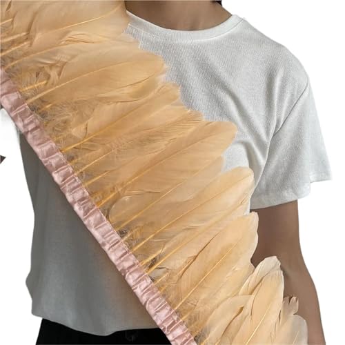 HIFRQVVC Party Dekoration Federn Band, Gänsefederbesatz, Fransen, 2 Meter Länge, 15–20 cm, DIY-Kostüm, Kleid, Nähdekoration(Color3) von HIFRQVVC