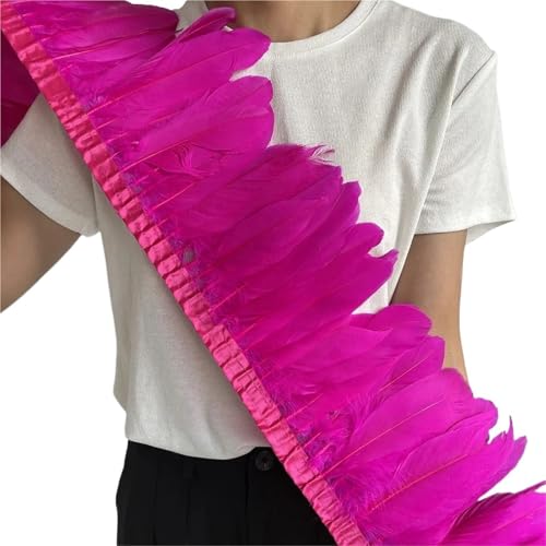 HIFRQVVC Party Dekoration Federn Band, Gänsefederbesatz, Fransen, 2 Meter Länge, 15–20 cm, DIY-Kostüm, Kleid, Nähdekoration(Pink9) von HIFRQVVC